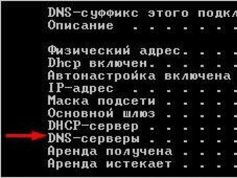 Что такое DNS и как ДНС-сервера обеспечивают работу интернета